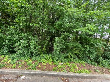 Land for sale in Tallapoosa County, Alabama