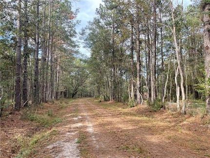 Undeveloped Land for sale in Saint Tammany Parish, Louisiana