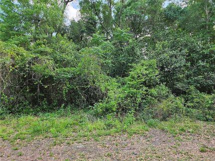 Land for sale in Marion County, Florida