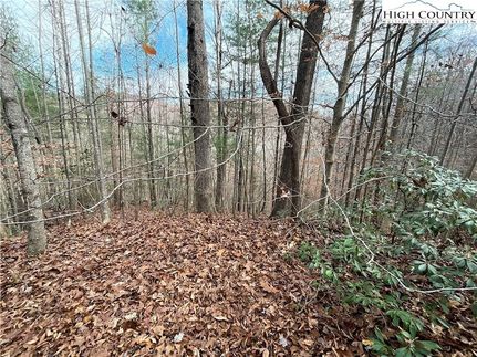 Land for sale in Caldwell County, North Carolina