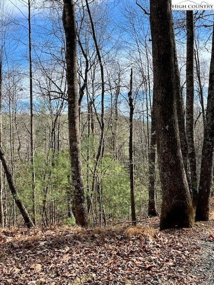 Land for sale in Watauga County, North Carolina
