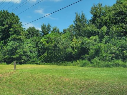 Land for sale in Orangeburg County, South Carolina