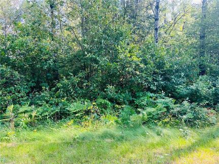 Land for sale in Sawyer County, Wisconsin