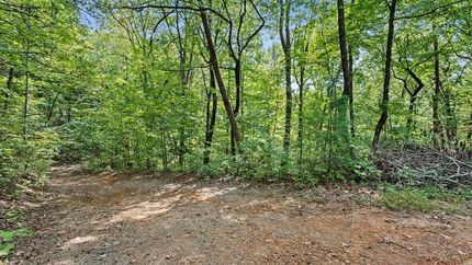 Homesite for sale in Gilmer County, Georgia