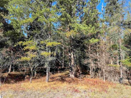 Land for sale in Crawford County, Michigan