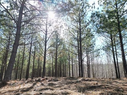 Undeveloped Land for sale in Perry County, Tennessee