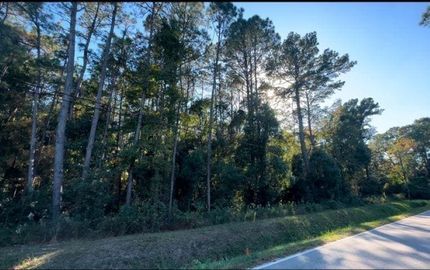 Land for sale in Mobile County, Alabama