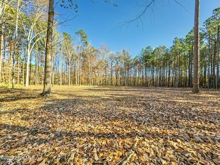 Land for sale in Perquimans County, North Carolina