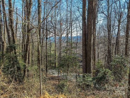 Land for sale in Henderson County, North Carolina