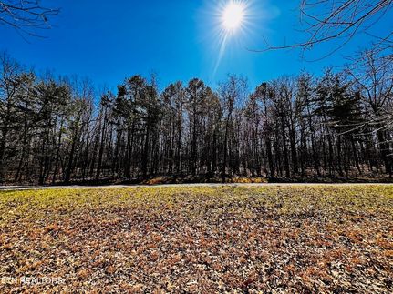 Land for sale in Van Buren County, Tennessee