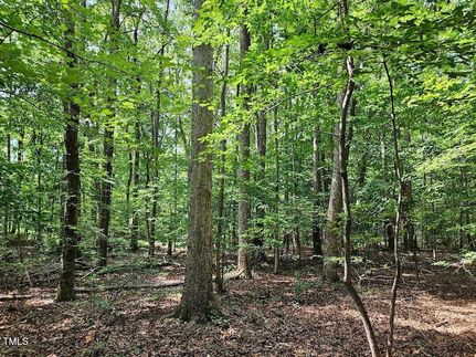 Land for sale in Moore County, North Carolina