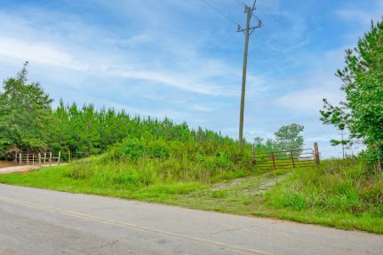 Land for sale in Chester County, South Carolina