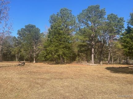 Land for sale in Macon County, Alabama
