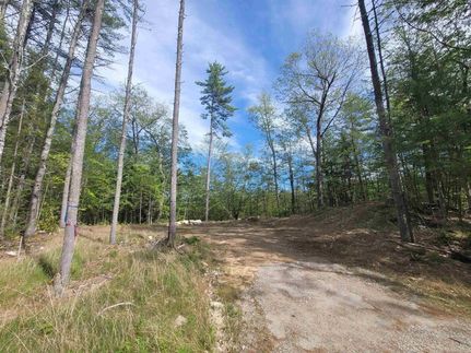 Land for sale in Carroll County, New Hampshire