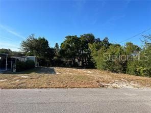 Homesite for sale in Lake County, Florida