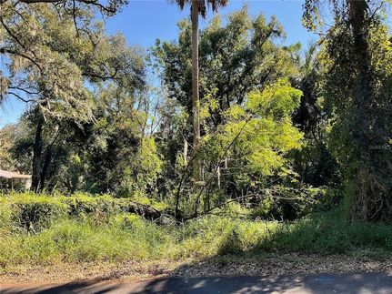 Land for sale in Lake County, Florida