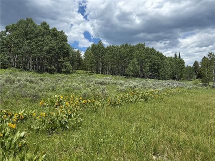 Land for sale in Routt County, Colorado