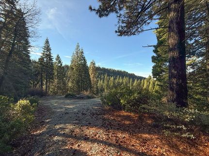 Farm and Ranch for sale in Nevada County, California