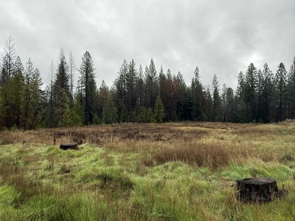 Farm and Ranch for sale in Nevada County, California