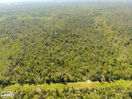 Land for sale in Allen Parish, Louisiana