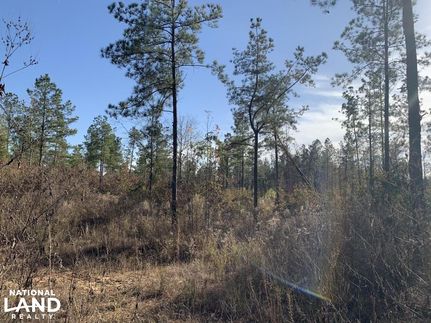 Hunting Property for sale in Ouachita Parish, Louisiana