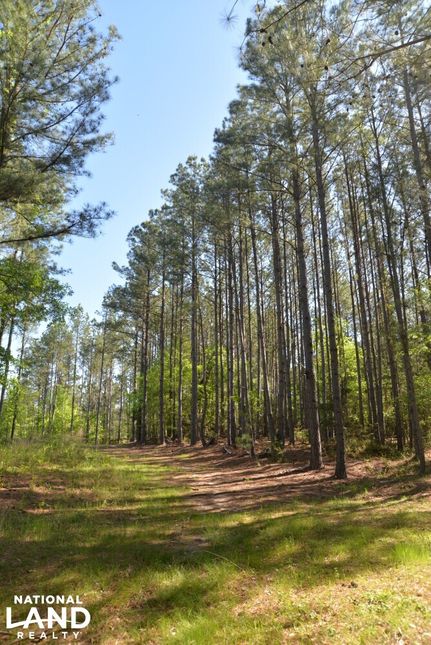 Land for sale in Chester County, South Carolina