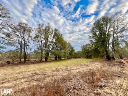 Land for sale in Wilcox County, Alabama