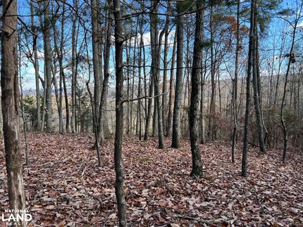 Land for sale in DeKalb County, Alabama