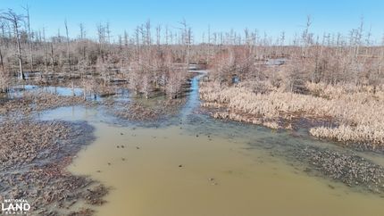 Land for sale in Monroe County, Arkansas