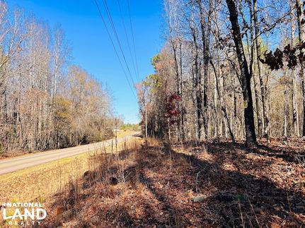 Land for sale in Meriwether County, Georgia