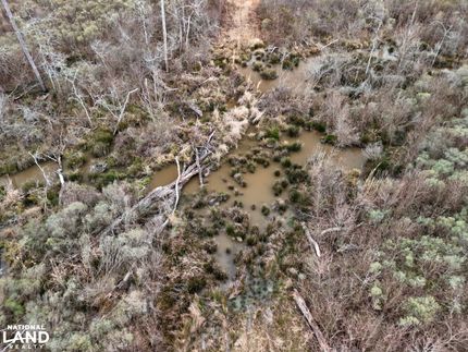 Land for sale in Scott County, Mississippi