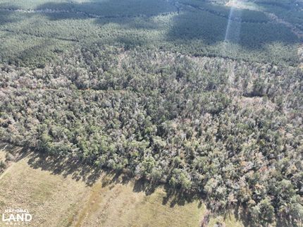 Land for sale in Jefferson Davis Parish, Louisiana