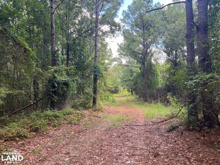 Land for sale in Marion County, Alabama
