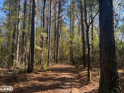 Recreational Property for sale in Tuscaloosa County, Alabama