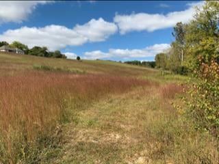 Land for sale in Putnam County, Tennessee