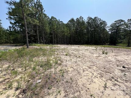 Land for sale in Darlington County, South Carolina
