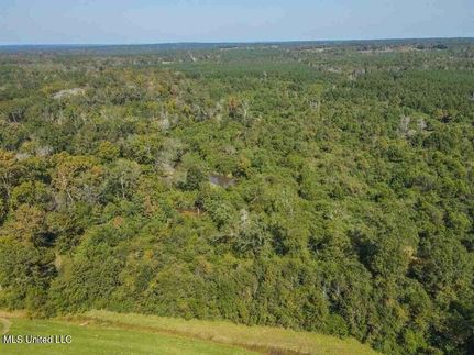 Land for sale in Smith County, Mississippi