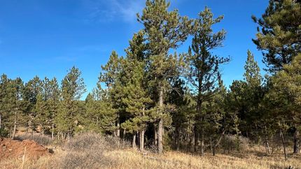 Land for sale in Custer County, South Dakota