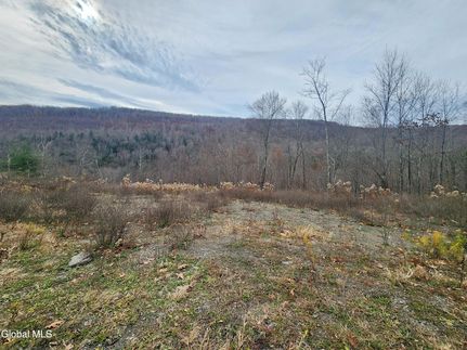 Land for sale in Schoharie County, New York