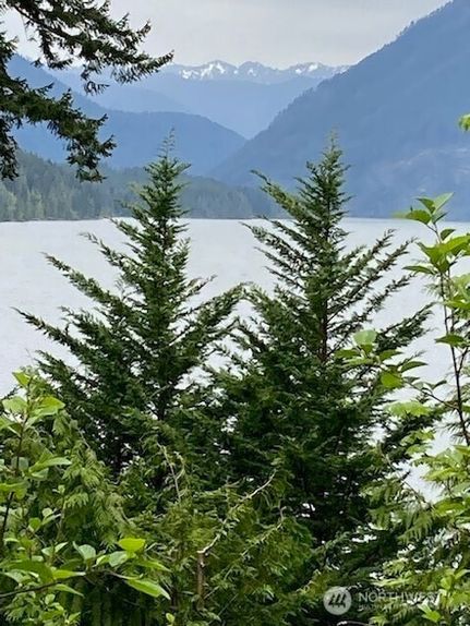 Homesite for sale in Mason County, Washington