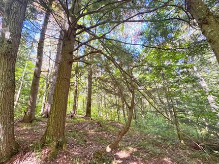 Land for sale in Chippewa County, Michigan