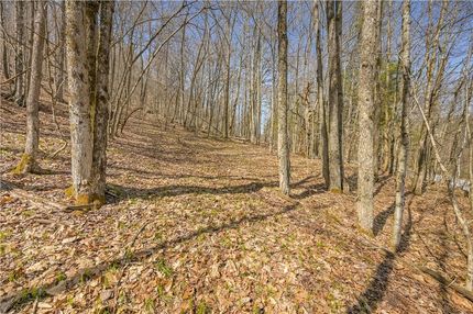 Land for sale in Schoharie County, New York