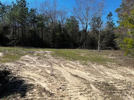 Land for sale in Walthall County, Mississippi