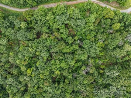 Land for sale in Rutherford County, North Carolina