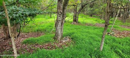 Land for sale in Carbon County, Pennsylvania