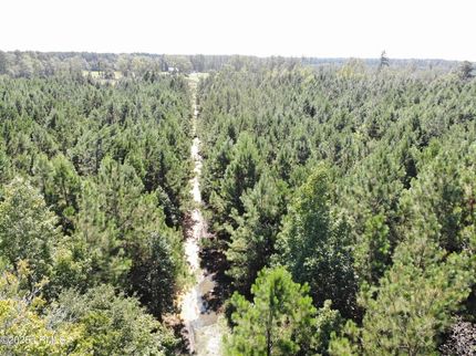 Land for sale in Bamberg County, South Carolina