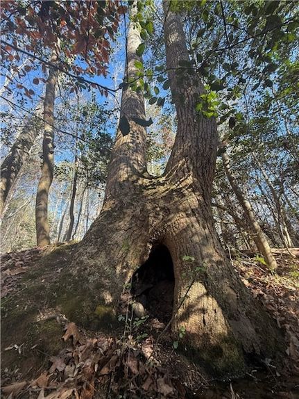 Land for sale in Greenville County, South Carolina