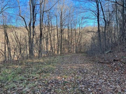 Undeveloped Land for sale in Nicholas County, West Virginia