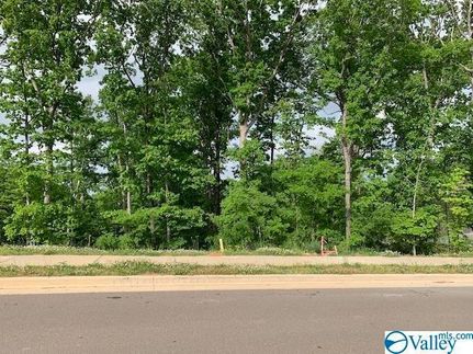 Land for sale in Madison County, Alabama
