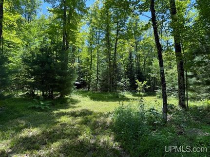 Land for sale in Iron County, Michigan